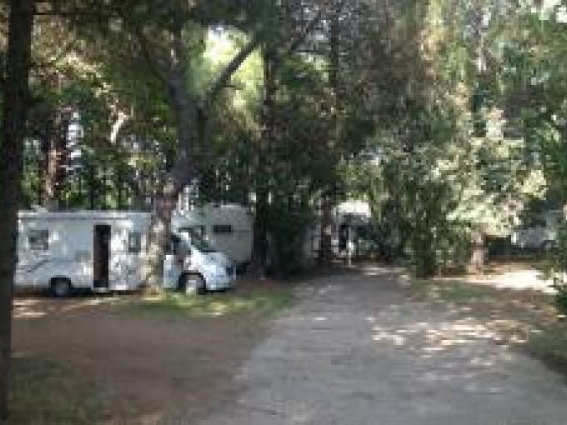 T�rkiye Kamp ve Karavan Derne�i